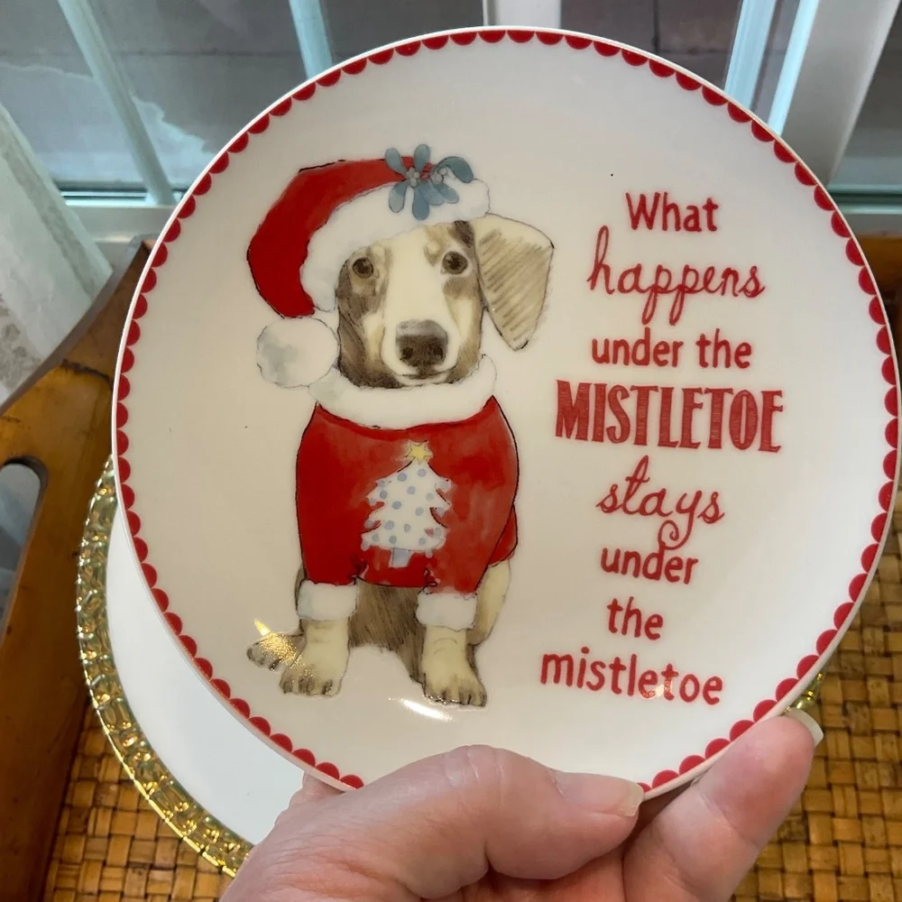 Pier 1 Christmas Dog Plates 2 Total NWOT